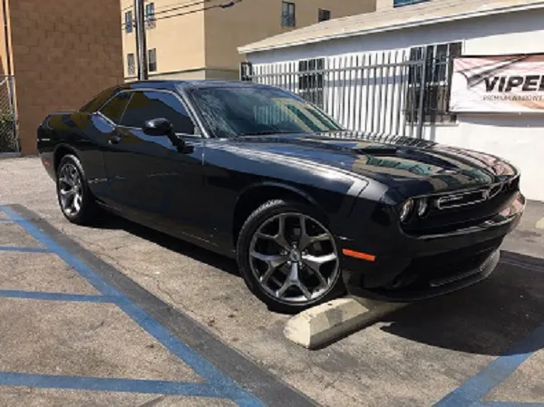 Santa Monica 3M Window Tinting 1