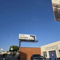 L & M Motors
