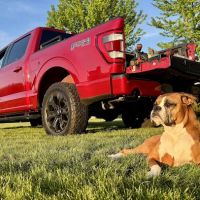 BSG Automotive