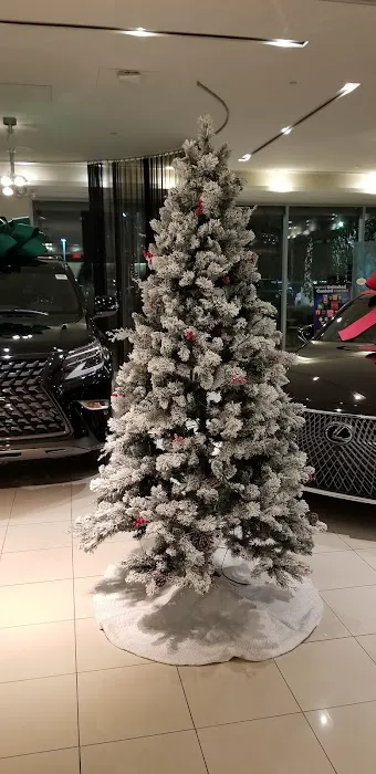 Woodfield Lexus Service 3