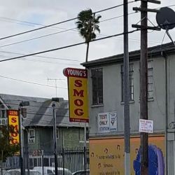 Young's Smog Check Center ico