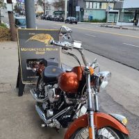 Steel Buffalo Motors