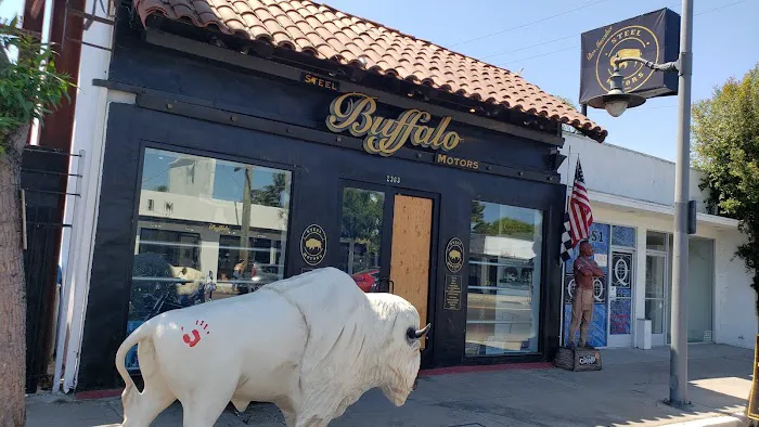 Steel Buffalo Motors 5