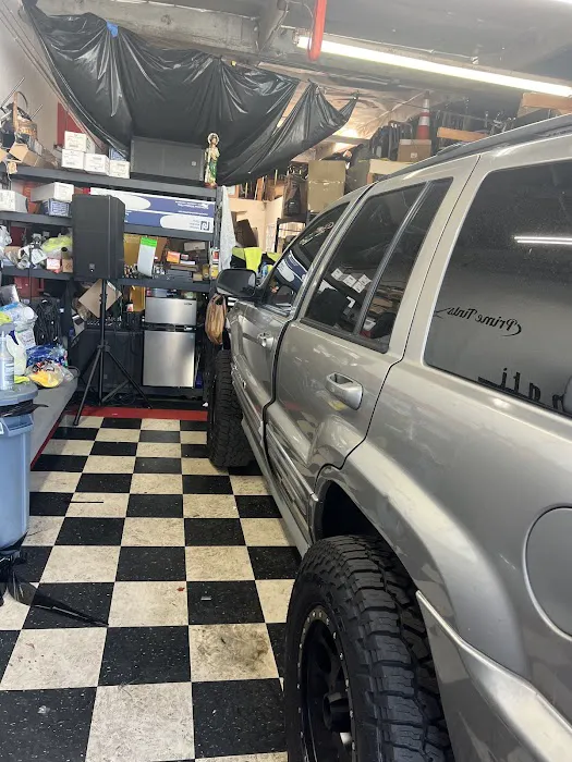 Prime Tints 6