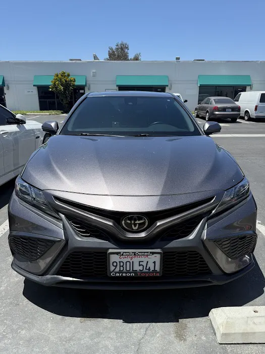 Prime Tints 7