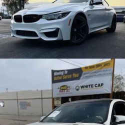 One Concept Customs ico
