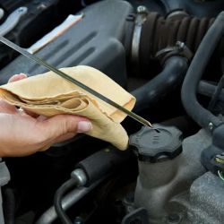 Tilly Mill Goodyear Auto Center ico