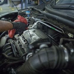 Firestone Complete Auto Care ico
