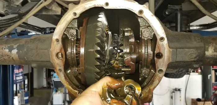 Gear Head Automotive & Transmissions 1