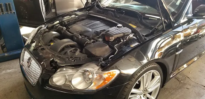 Gear Head Automotive & Transmissions 5