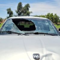 Prolite Auto Glass