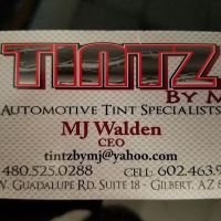 Tintz by M J LLC