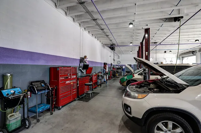 The Auto Shop 5