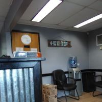 Wilson Auto Sales & Salvage