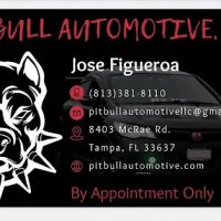 PITBULL AUTOMOTIVE, LLC