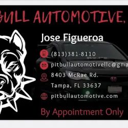 PITBULL AUTOMOTIVE, LLC ico