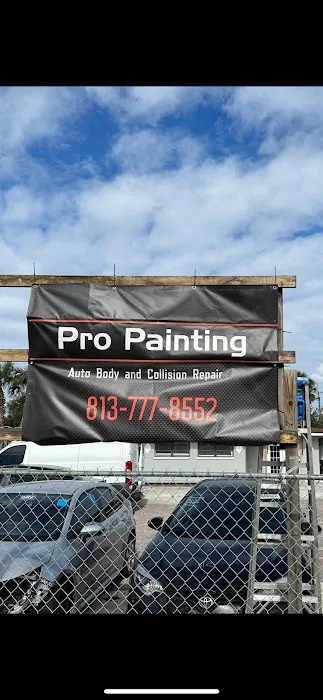 PRO PAINTING LLC 3