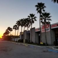 Auto Parts Outlet - Tampa