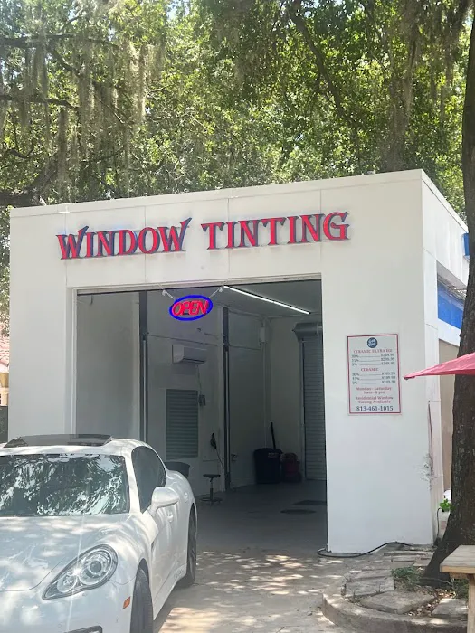 Got Tint 2