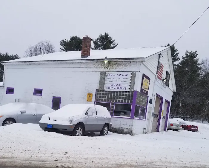 Leo & Sons Auto Repair 2