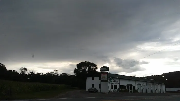 Steve Shannon Tire & Auto Center 9