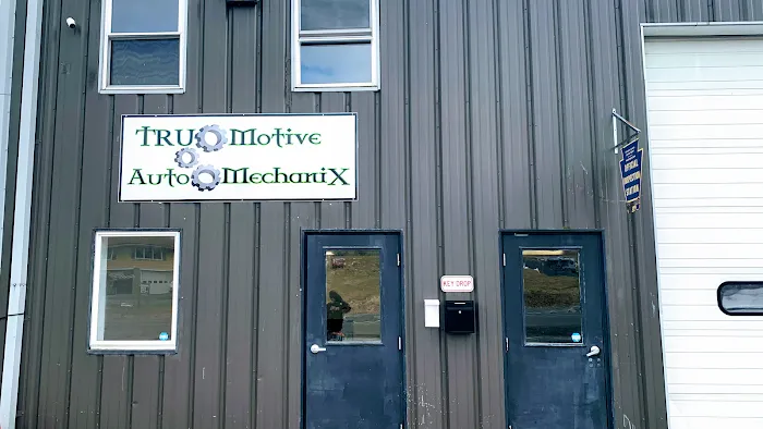 TruMotive Auto MechaniX 3