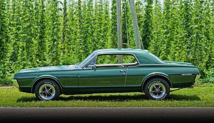 West Coast Classic Cougar 7