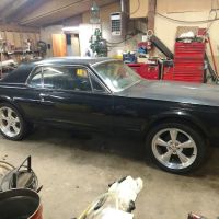 West Coast Classic Cougar