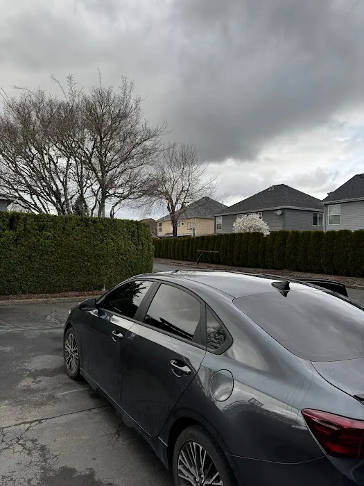 MK Auto Tint 3