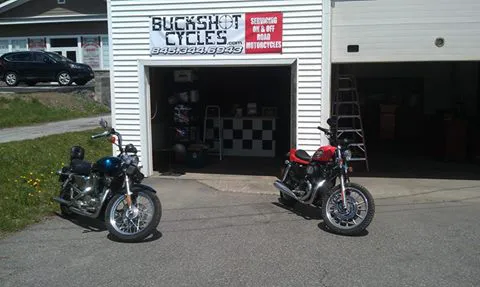 Buckshot Cycles 0