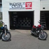 Buckshot Cycles