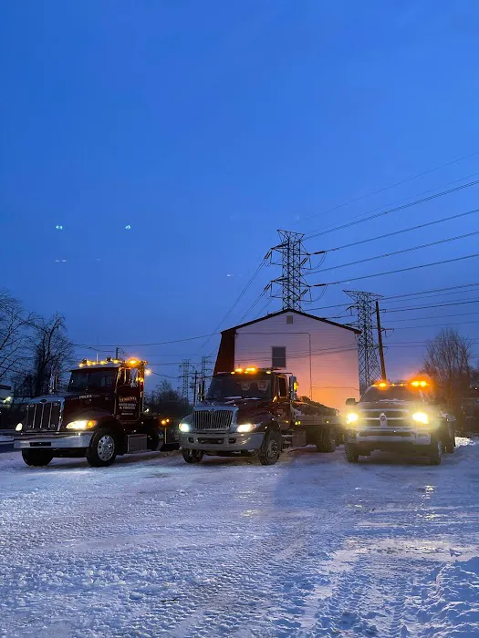 Venusti Auto Body & Towing 6