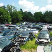 Seven X Salvage Yard