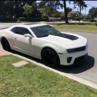 Prestige Customs