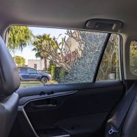 Sinaloa Auto Glass