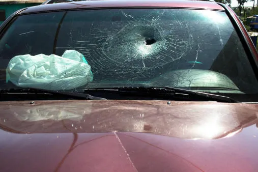 Ajax Auto Glass, Inc. 1