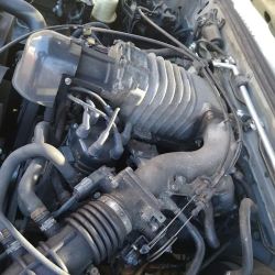 Philly Performance & Restoration ico