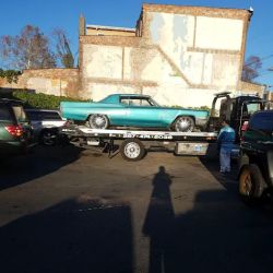 Tim's Auto Repair ico