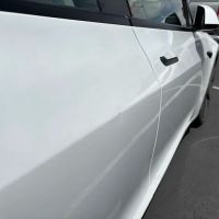 Champion Dent Removal