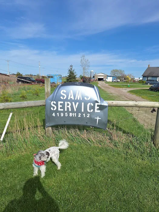 Sam's Service 1