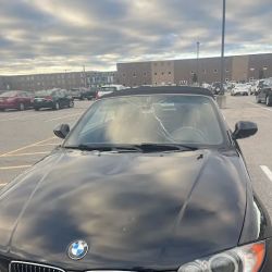 Tim's Auto Glass ico
