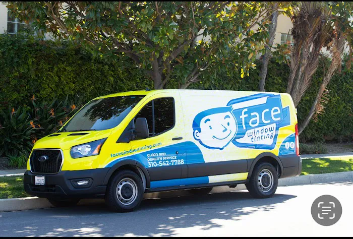 Face Window Tinting 4