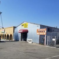 David's Tires