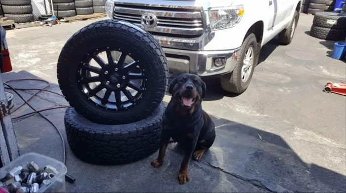Yesenia's Tire Shop 6