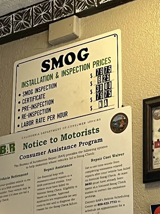 Smog Oasis 9