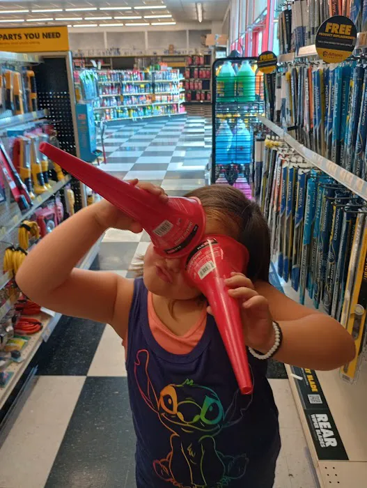 Advance Auto Parts 3