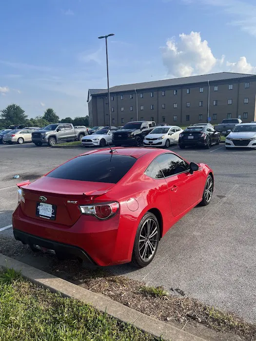 Tint City & Rims 5