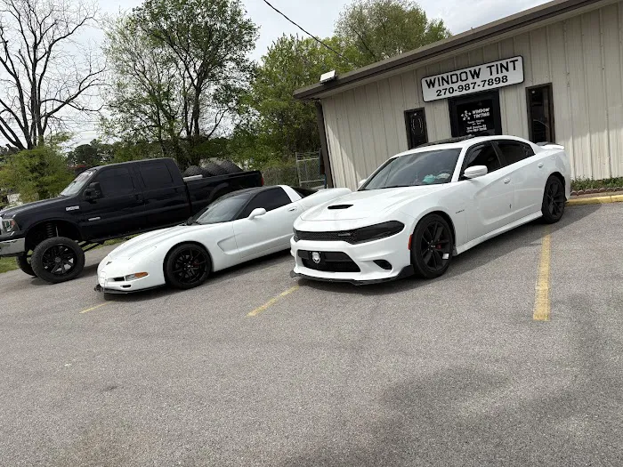 5 Star Window Tint 1
