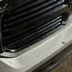 Steve Geary's Body Shop ico