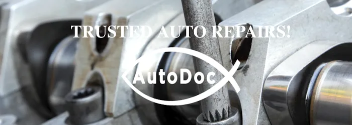 Auto Doc 6